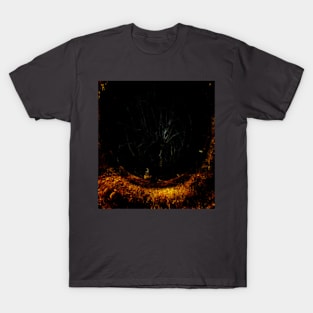 Digital collage, special processing. The hole and the spider there. T-Shirt